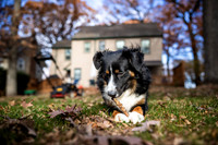 Max